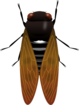 250715(1).png